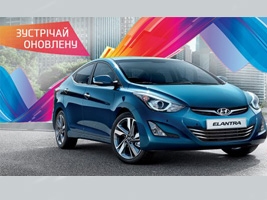   :    Elantra New   !