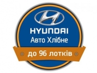     Hyundai H 100